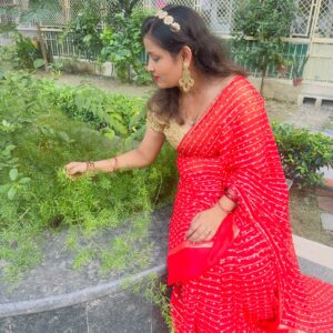 Georgette Bandhej Saree