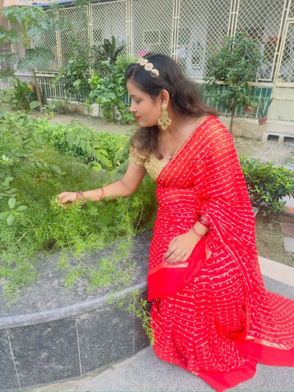 BANDHEJ SAREE